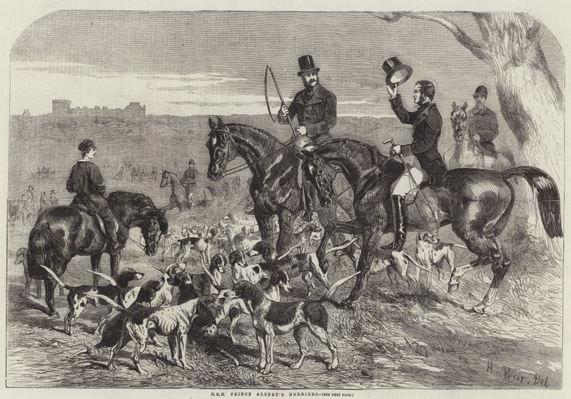 HRH Prinz Alberts Jagdhunde von Harrison William Weir