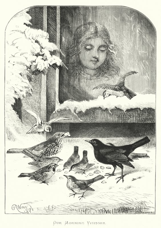 Unsere morgendlichen Besucher von Harrison William Weir