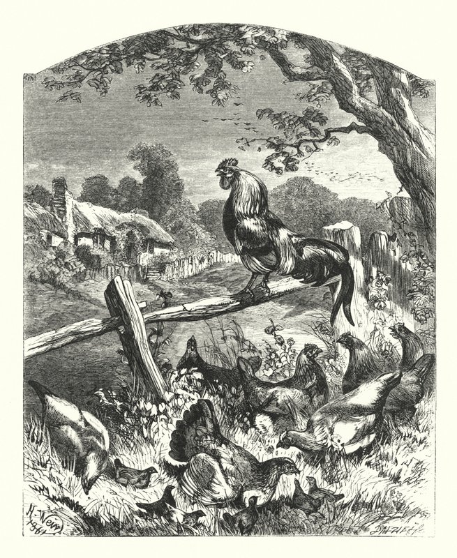 Lob des Landlebens von Harrison William Weir