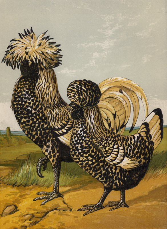 Silberpolitur von Harrison William Weir
