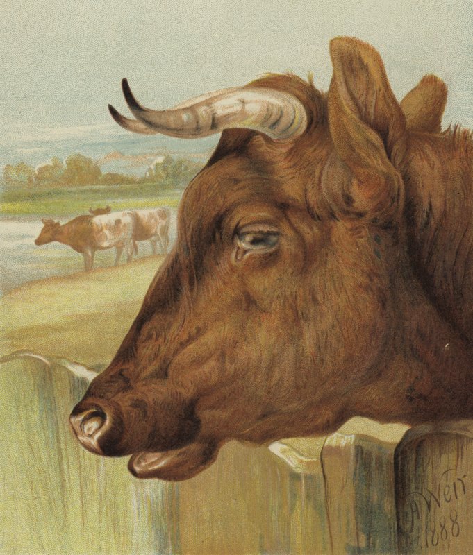 Der Freund des Kinderzimmers (Chromolitho) von Harrison William Weir