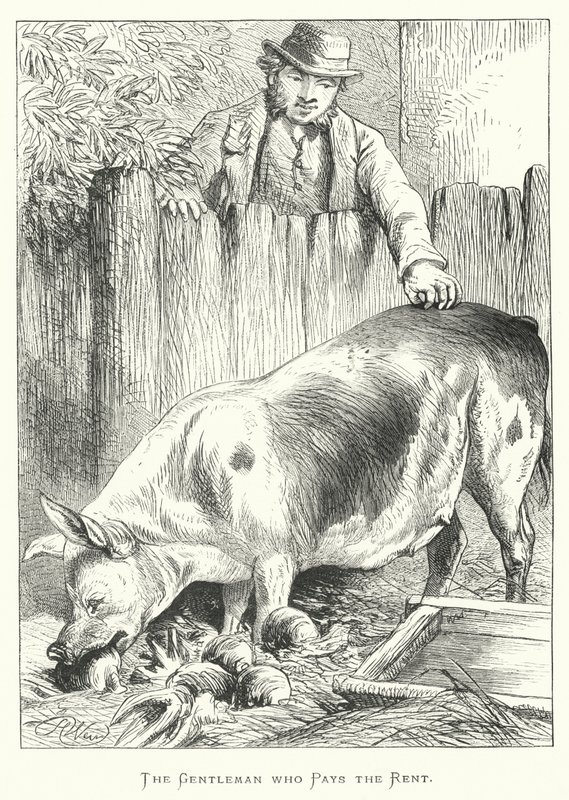 Der Herr, der die Miete zahlt von Harrison William Weir
