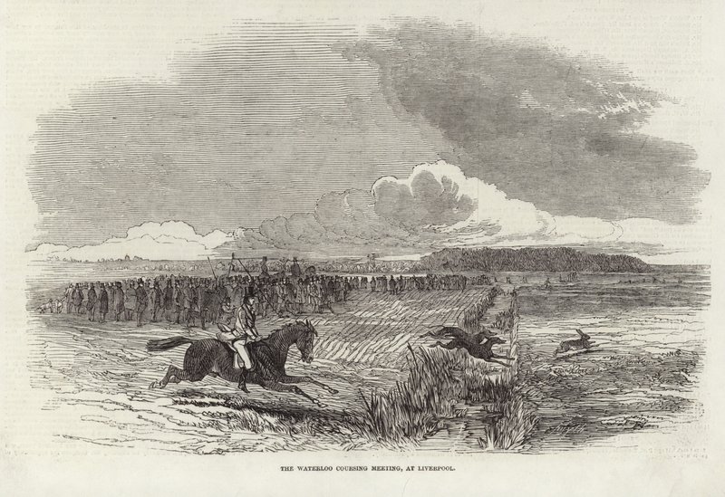 Das Waterloo-Coursing-Treffen von Harrison William Weir