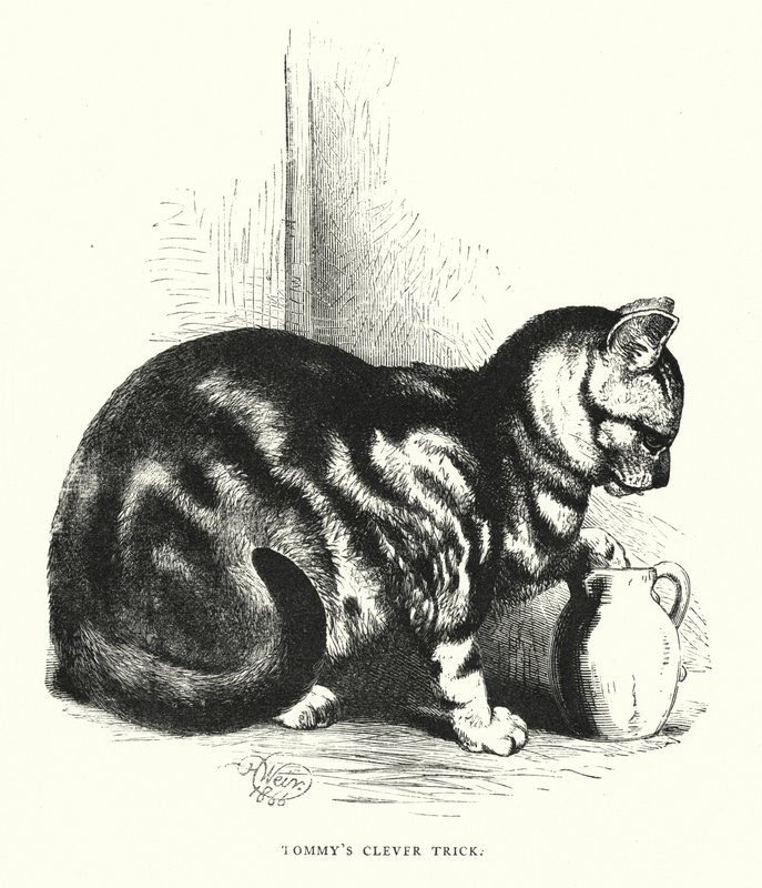 Tommys cleverer Trick (Stich) von Harrison William Weir