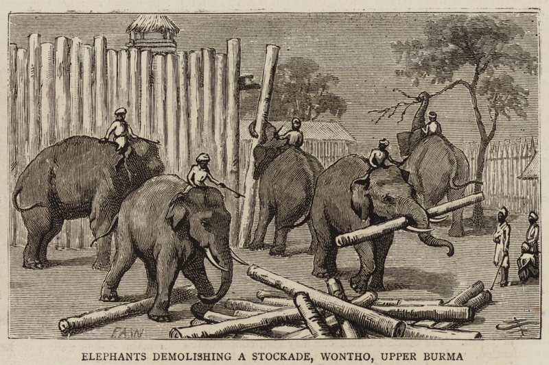 Elefanten zerstören eine Palisade, Wontho, Oberbirma von Harry Hamilton Johnston