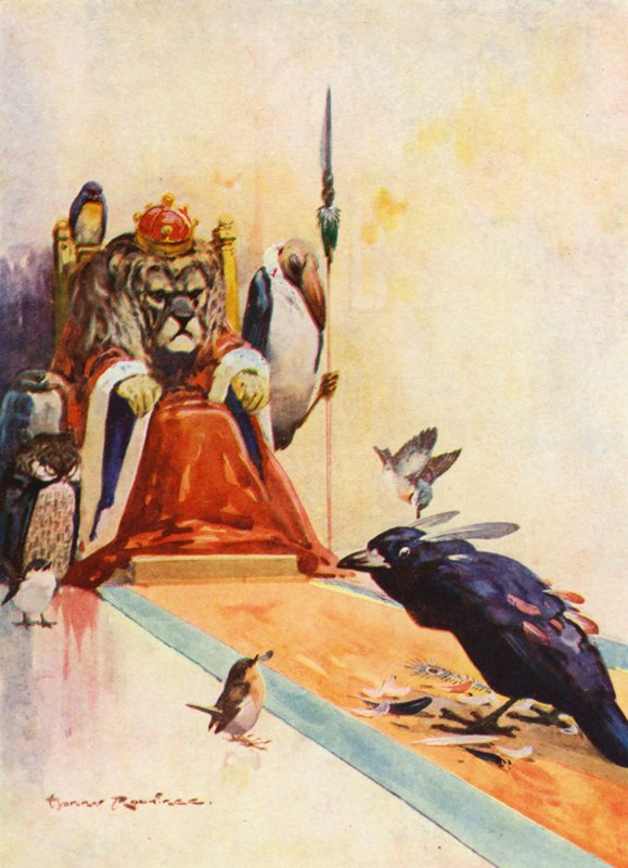 Die eitle Dohle von Harry Rountree