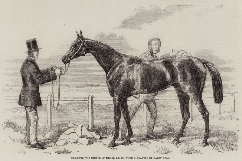 Gamester, der Gewinner des St. Leger von Harry Hall