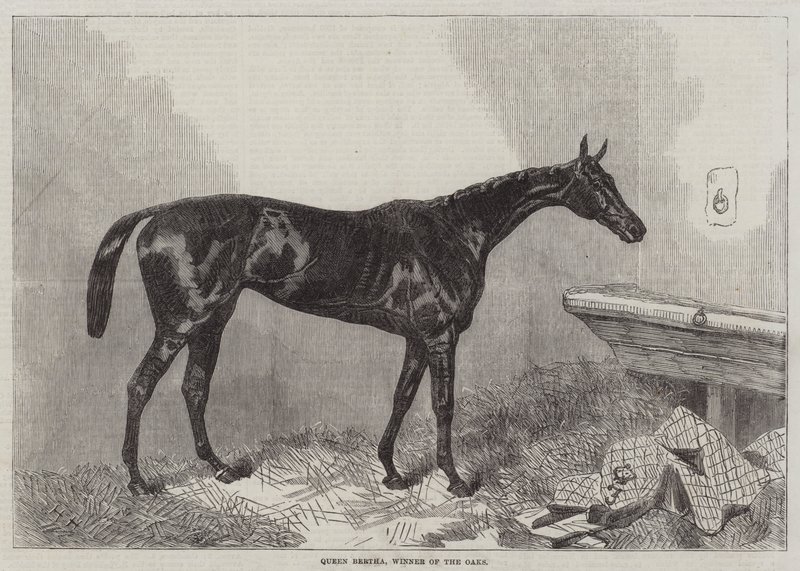 Königin Bertha, Gewinnerin der Oaks von Harry Hall