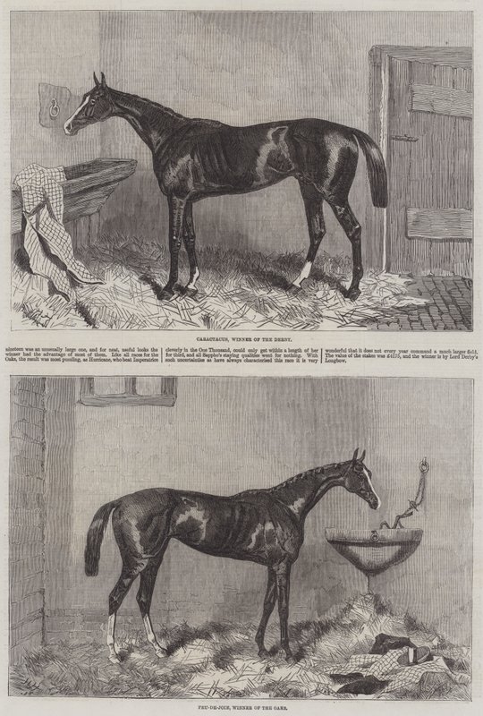 Gewinner des Derbys und der Oaks von Harry Hall
