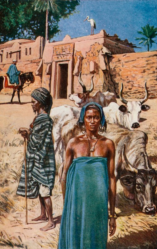 Die Fulani von Harry Hamilton Johnston