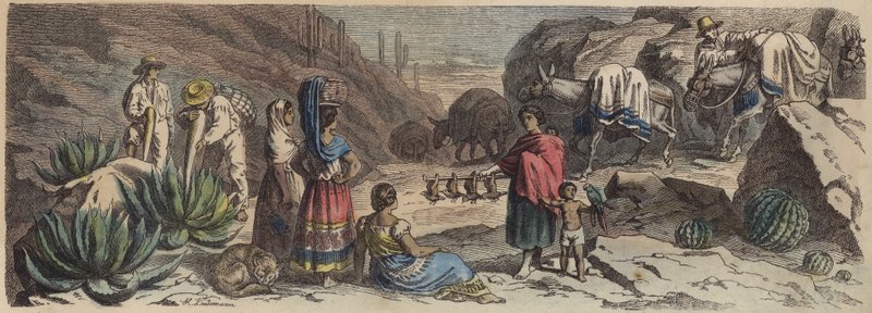 Eine Bergstraße in Mexiko von Heinrich Leutemann