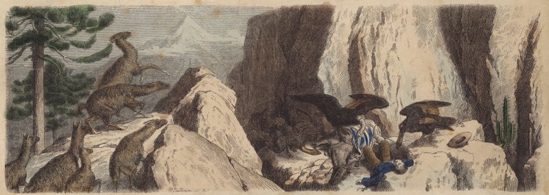 Die chilenischen Anden von Heinrich Leutemann