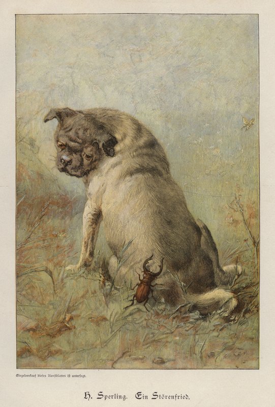 Ein Unruhestifter von Heinrich Sperling