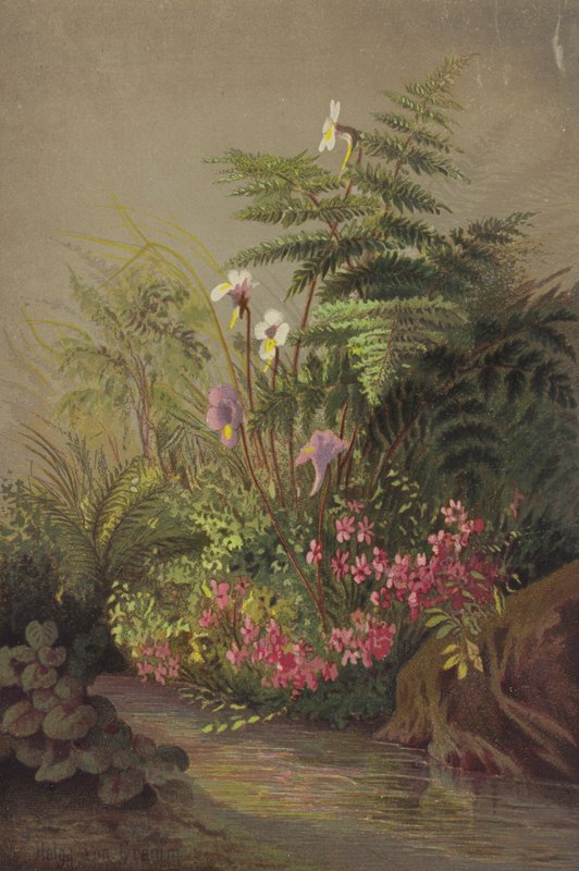 Blumen am Bach von Helga von Cramm