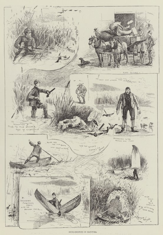 Entenjagd in Manitoba von Henry Charles Seppings Wright