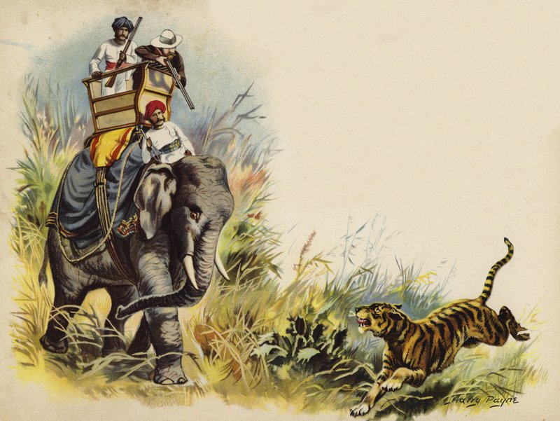 Der Prinz von Wales auf Tigerjagd während der königlichen Tour in Indien, 1905 (Chromolithographie) von Henry Payne