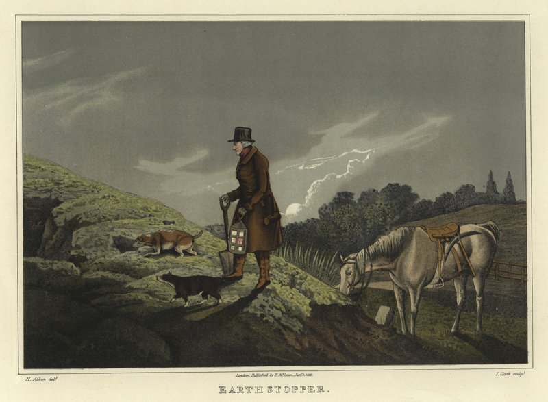 Erdstopfer von Henry Thomas Alken
