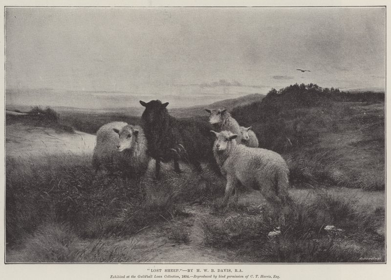 Verlorenes Schaf von Henry William Banks Davis