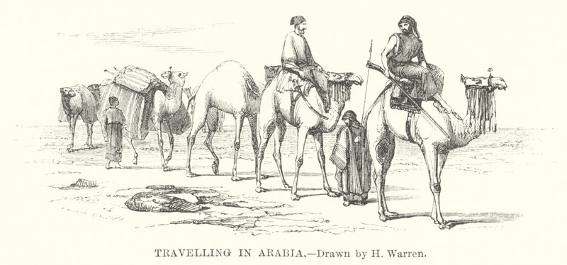 Reisen in Arabien von Henry (after) Warren