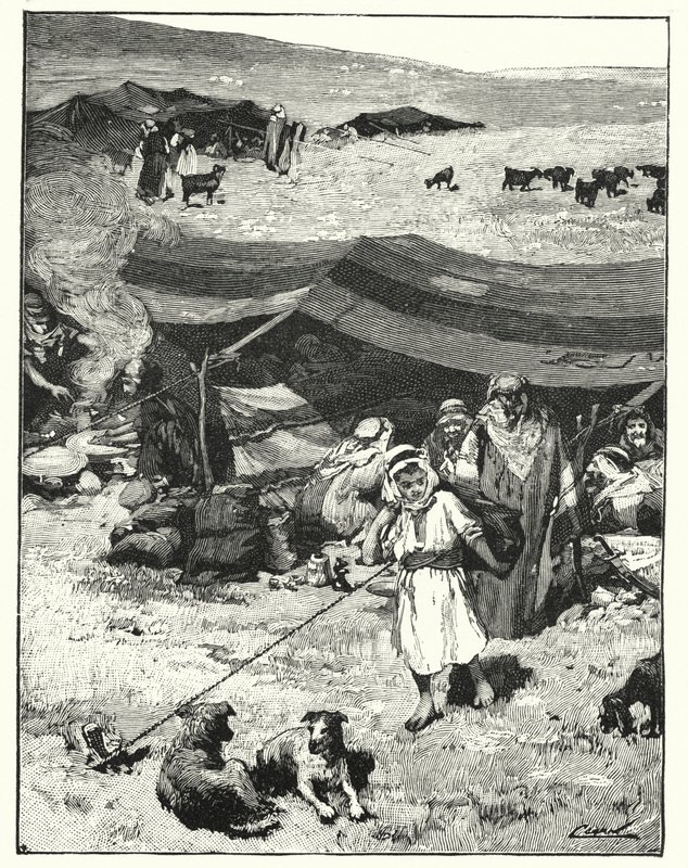 Ein Beduinenlager (Lithografie) von Henry Andrew Harper