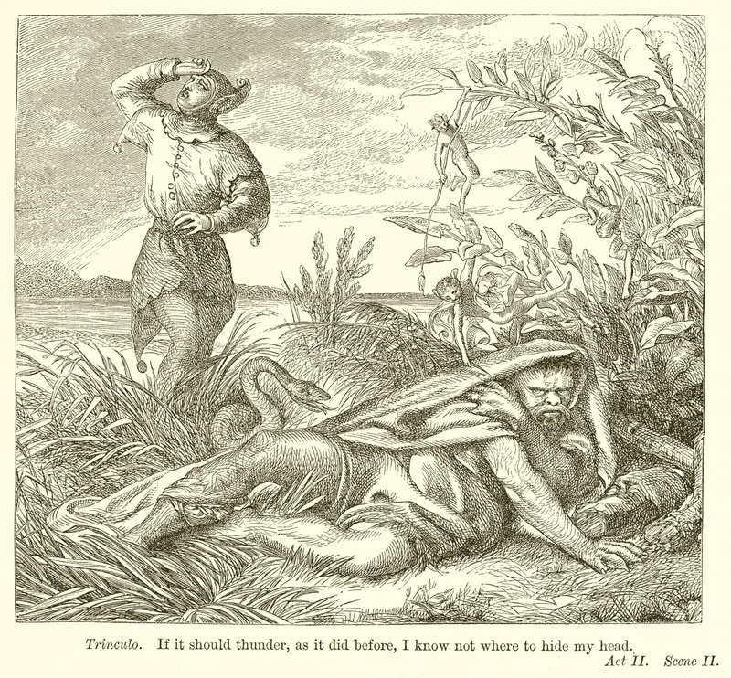 Der Sturm von Henry Courtney Selous