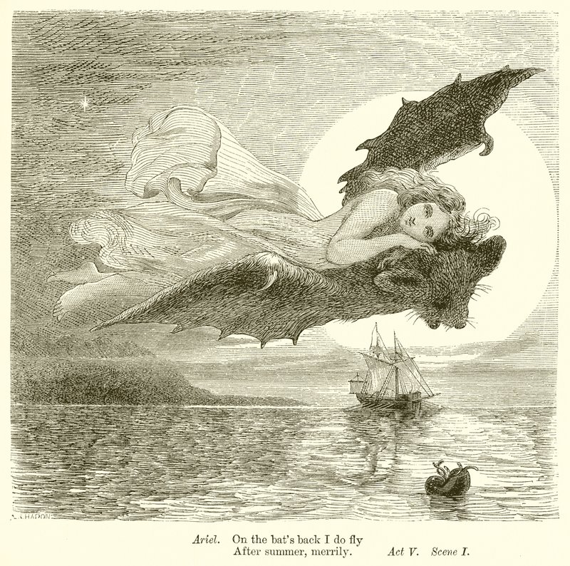 Der Sturm von Henry Courtney Selous