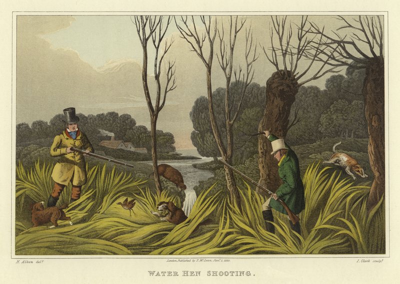 Wasservogelschießen von Henry Thomas Alken