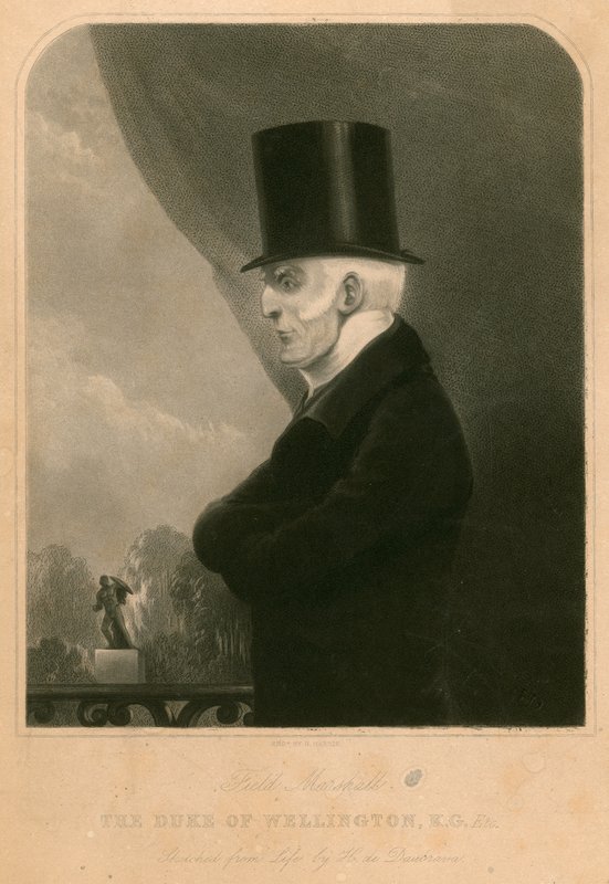 Der Herzog von Wellington von Henry de Daubrava