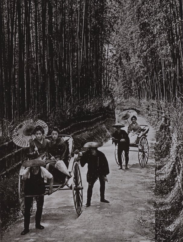 Eine Bambusallee in Kyoto von Herbert Ponting