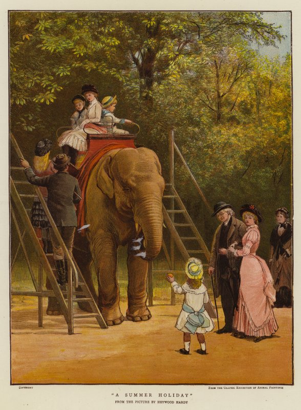 Ein Sommerurlaub von Heywood (after) Hardy