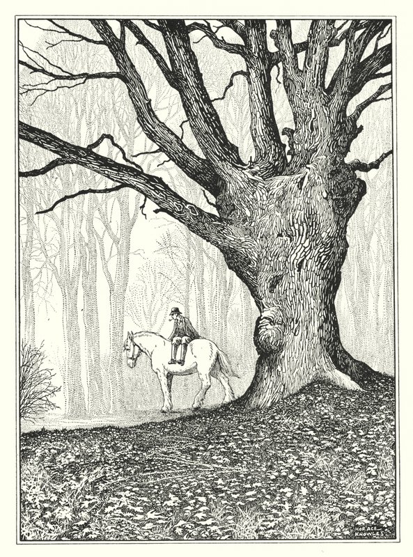 November von Horace J. Knowles