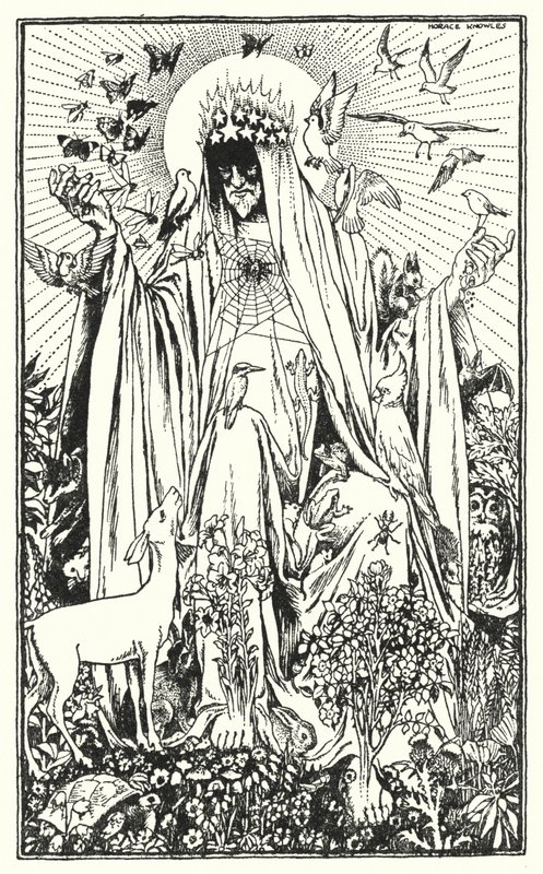 Rotkehlchen von Horace J. Knowles