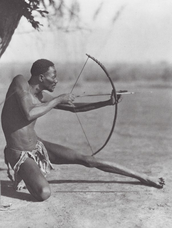 Afrika: Östlicher Djur-Bogenschütze von Hugo Adolf Bernatzik