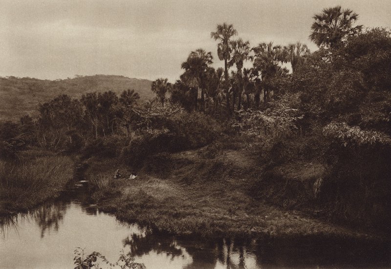 Mexiko: Tamasopo, Palmenlandschaft von Hugo Brehme