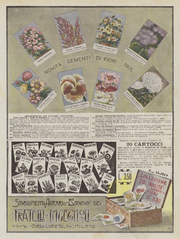 Ingegnoli Brüder von Italian School