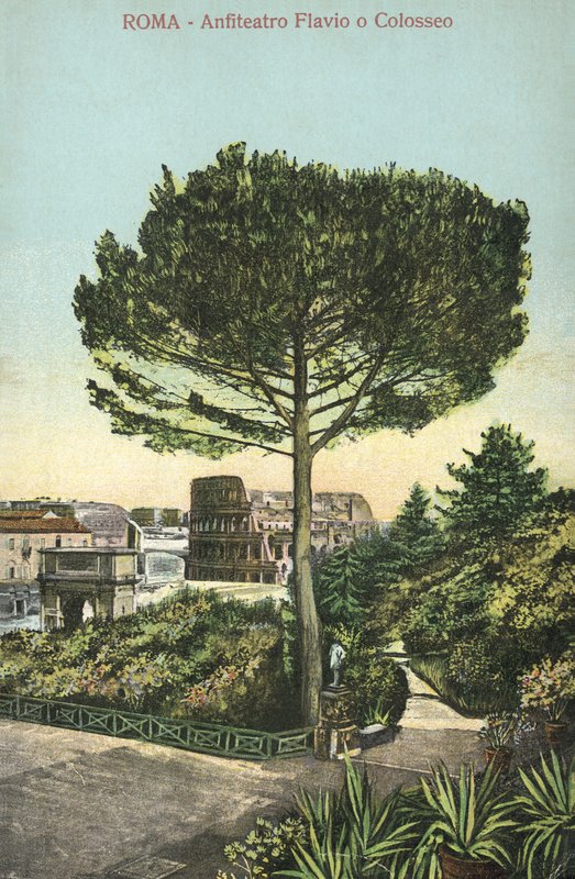 Rom, Italien, Amphitheater und Kolosseum von Italian School