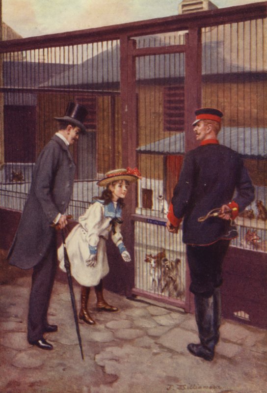 Ethel findet Scamp von J. Williamson