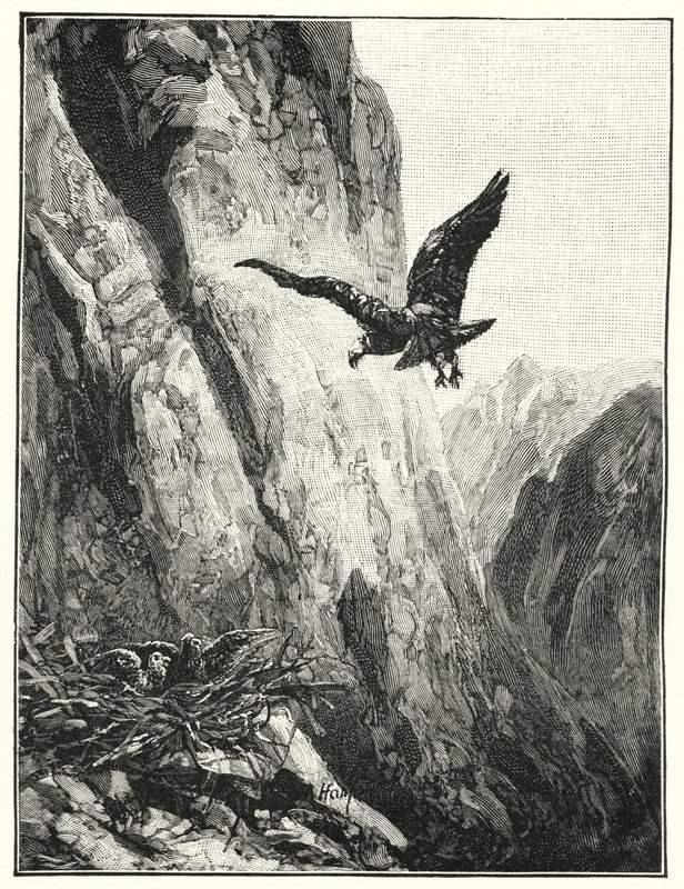 Adlernest am Berg Sinai (Lithografie) von James (after) Clark