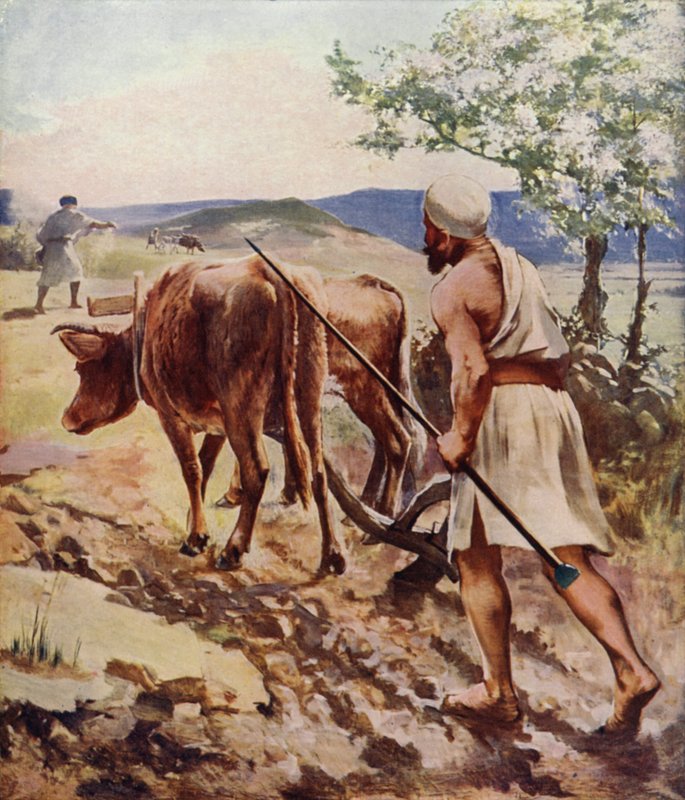 Pflügen in der Nähe von Nazareth von James Clark