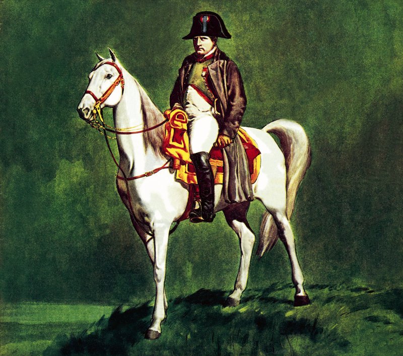 Napoleon auf seinem Lieblingspferd 