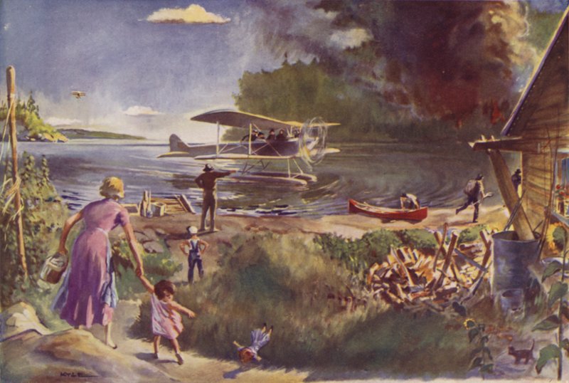 Flugzeug und Waldbrand von James Fergus Kyle