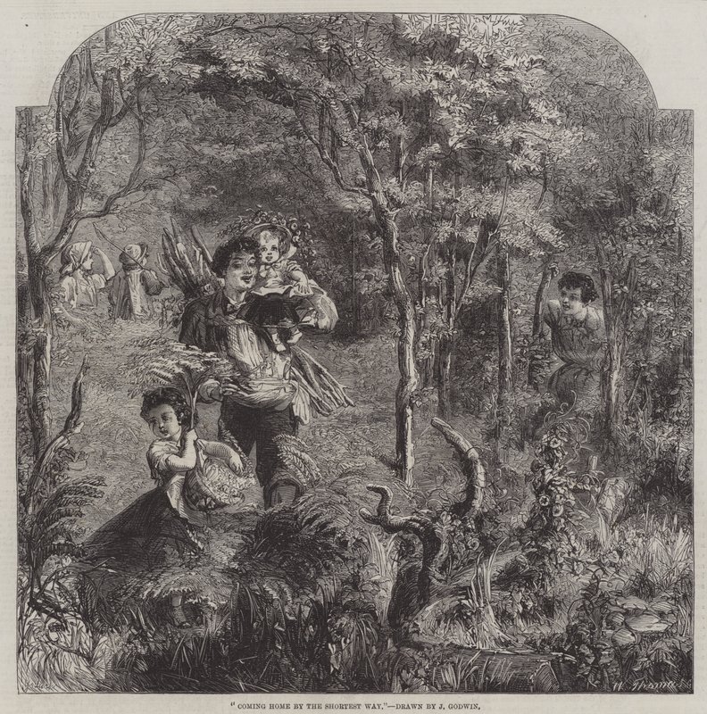 Nach Hause auf dem kürzesten Weg von James Godwin