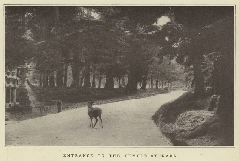Eingang zum Tempel in Nara von Japanese Photographer