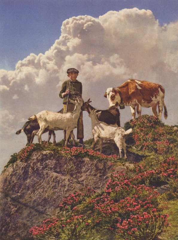 Schweiz: Gute Freunde von Jean Gaberell
