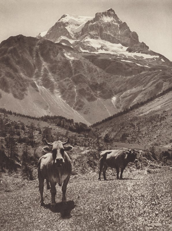 Schweiz: Der Tödi von Jean Gaberell