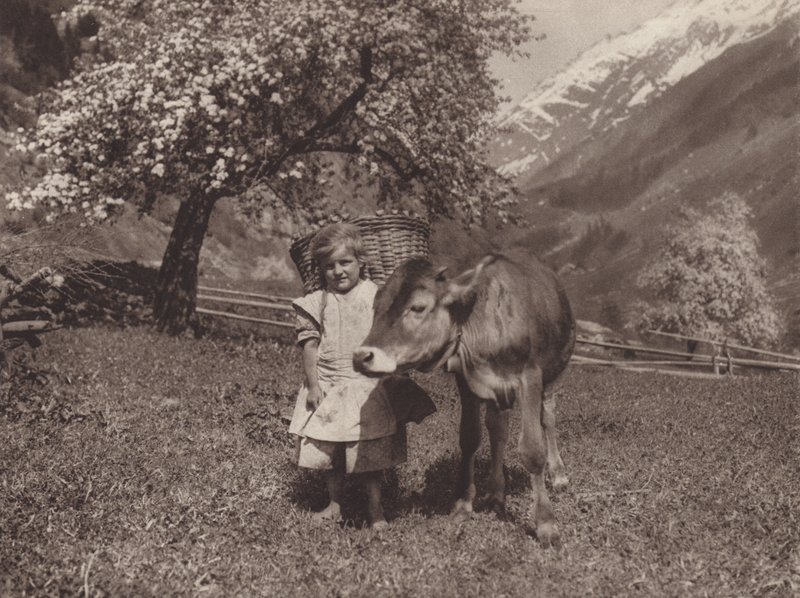 Schweiz: Die jüngere Generation von Jean Gaberell