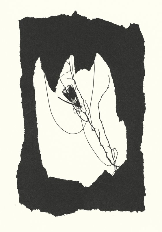 Johanna Beckmann Silhouette von Johanna Beckmann