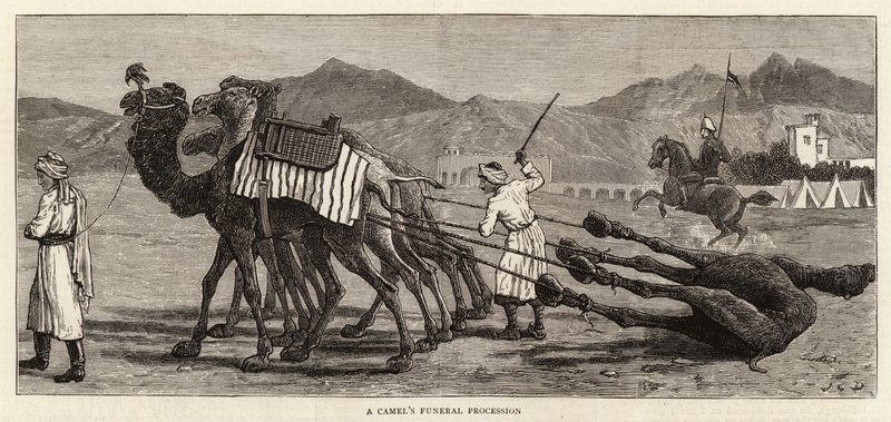Ein Kamel-Begräbniszug von John Charles Dollman
