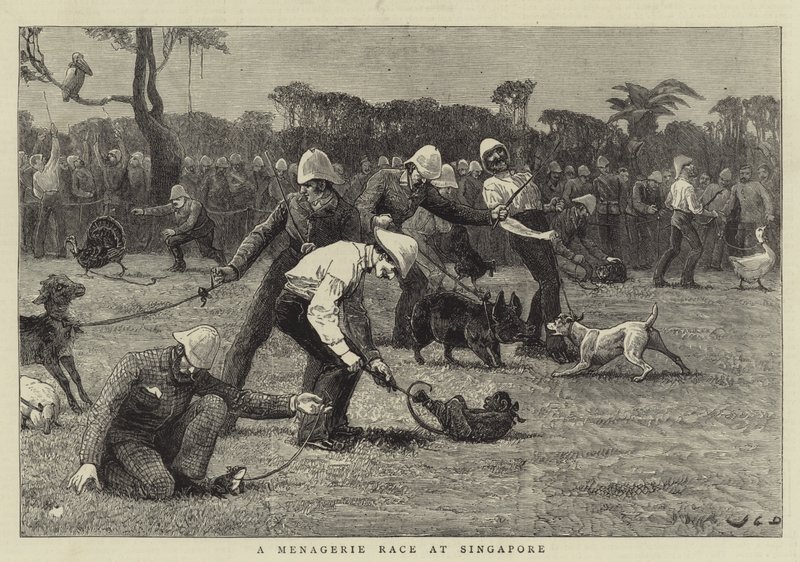Ein Menagerierennen in Singapur von John Charles Dollman