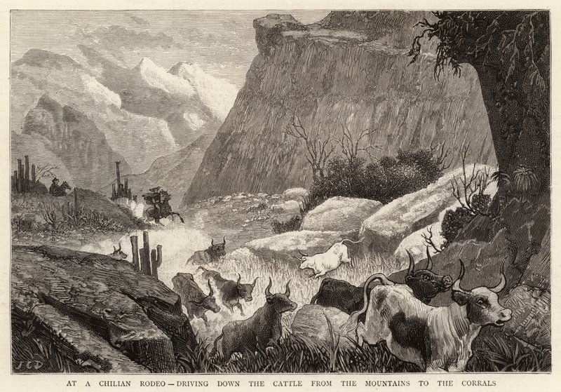 Bei einem chilenischen Rodeo, das Vieh von den Bergen zu den Corrals treiben von John Charles Dollman
